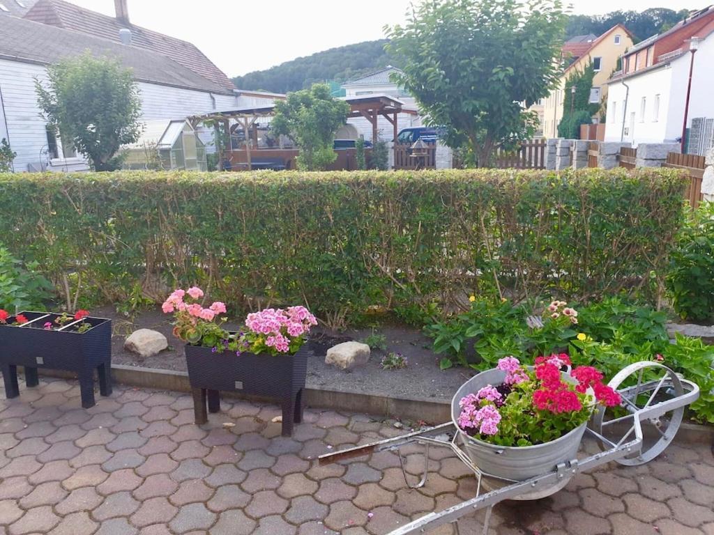 Apartment In Saxony In A Charming Area 弗赖塔尔 外观 照片